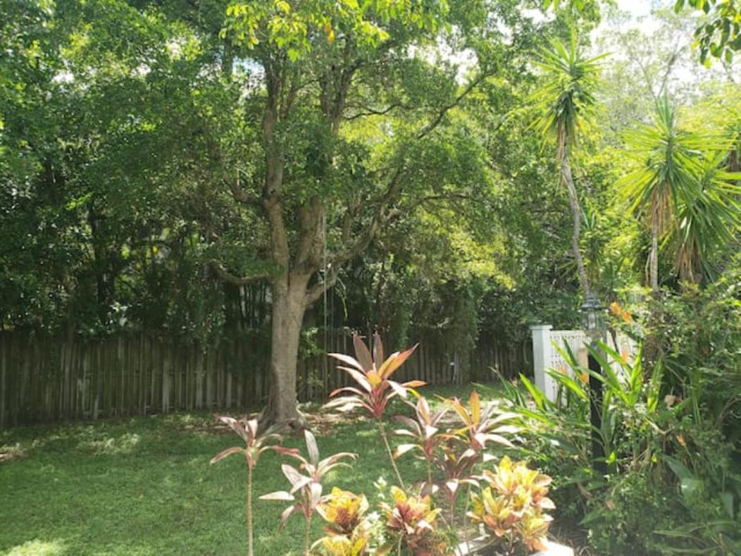 Apts With Backyard Near Fort Lauderdale Beach, Nightlife, Cruise Port, Airport Exterior photo